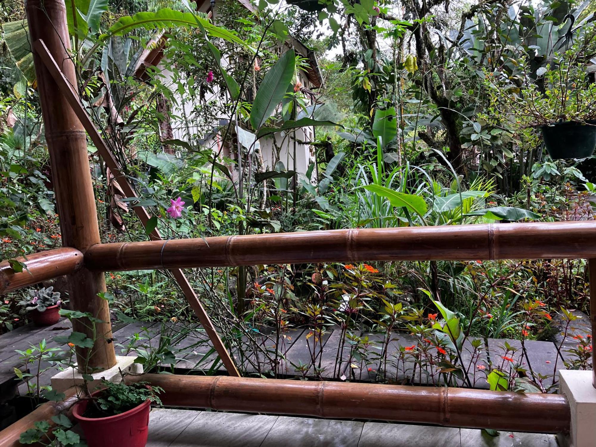 Casa Del Rio En Mindo Bed & Breakfast Exterior photo